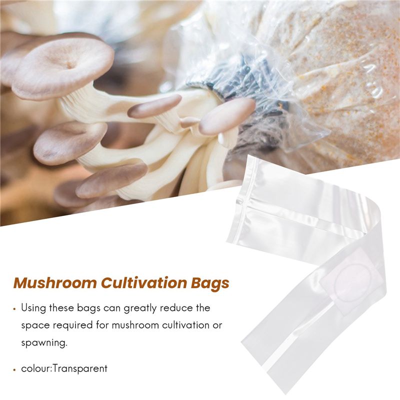 100Pcs Mushroom Growing Bag Sp - đánh giá và giá Mushroom Spawn Bag
