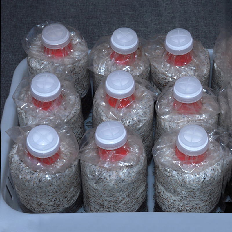 10Pcs Mushroom Grow Bag Sealer - đánh giá và giá Mushroom Spawn Bag