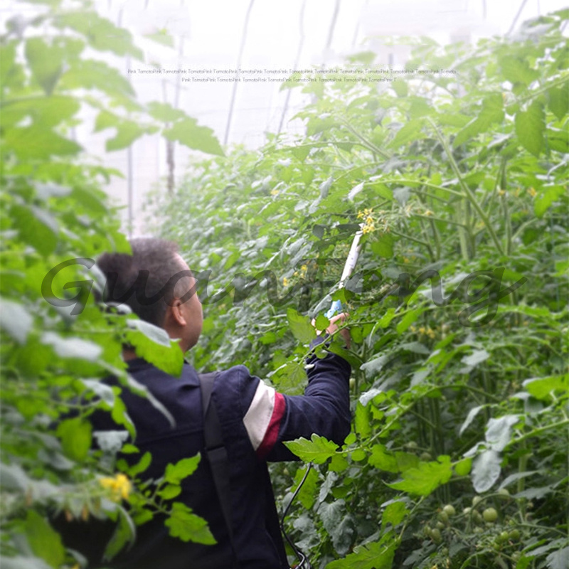 220V‑50Hz 6A Electric Vibratio - đánh giá và giá Agriculture Tomato Farming