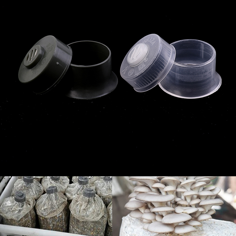 20pcs Mushroom Spawn Grow Bag  - đánh giá và giá Mushroom Spawn Bag