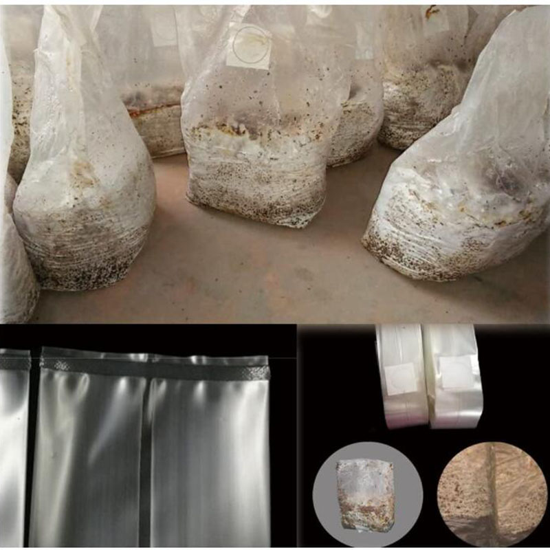 10x 18x35cm 50cm mushroom Spaw - đánh giá và giá Mushroom Spawn Bag