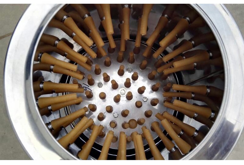 Stainless Steel Industrial Chi - đánh giá và giá Chicken Plucker Machine