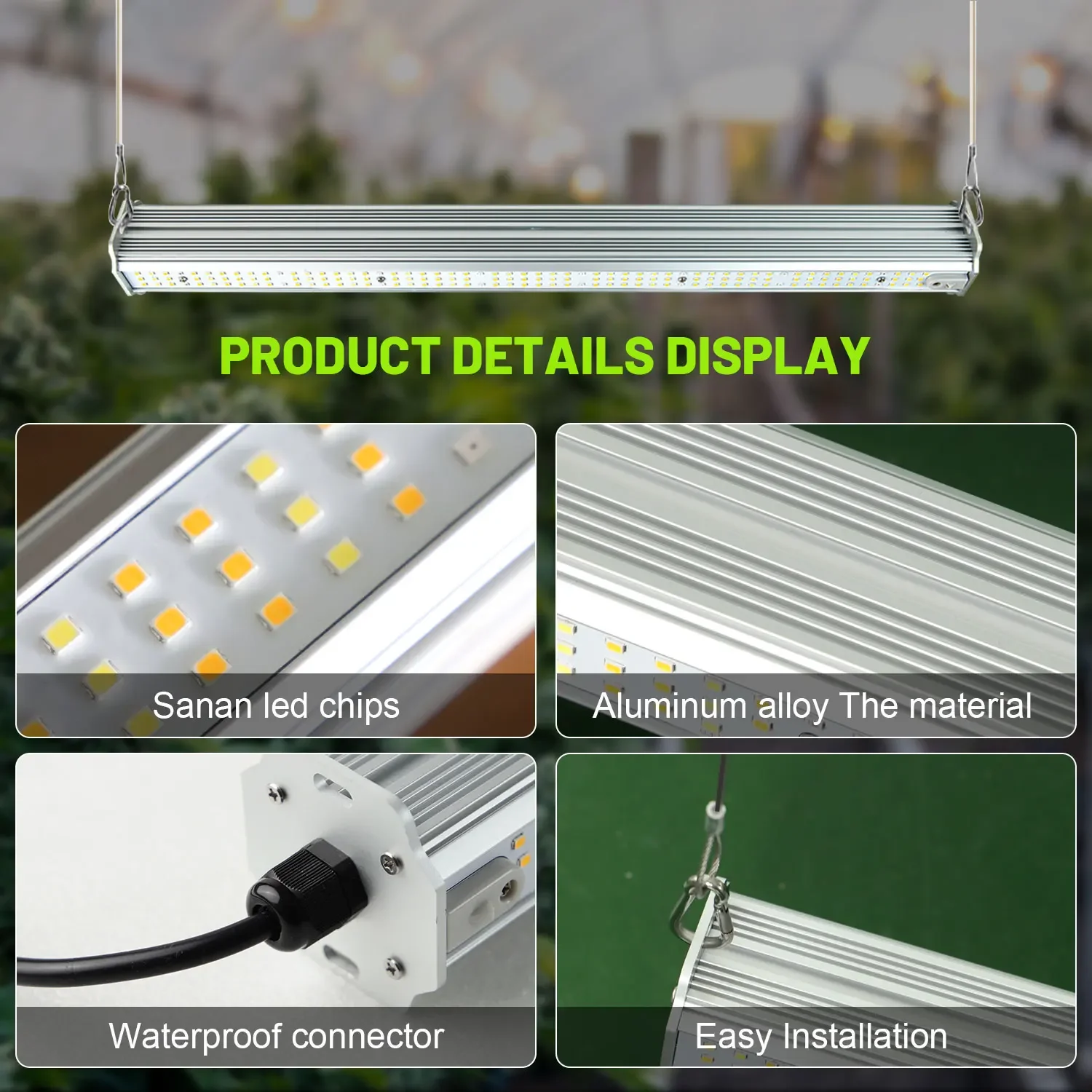 Best ETL Listed Plant Green Wa - đánh giá và giá Agriculture Tomato Farming