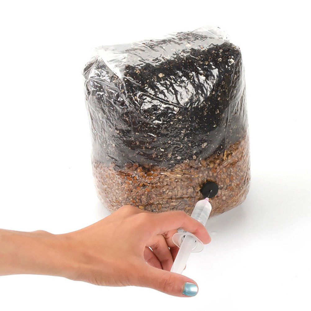 20Pcs Mushroom Grow Bags Small - đánh giá và giá Mushroom Spawn Bag