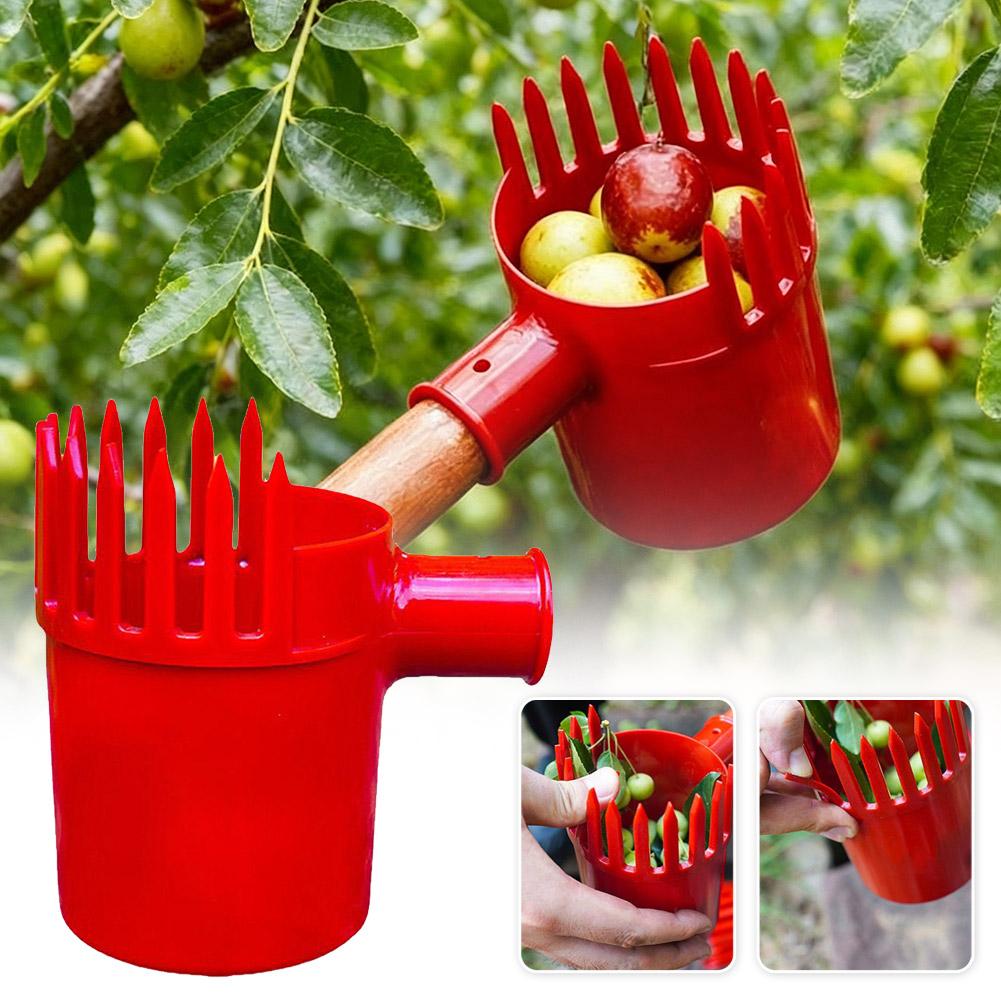 1pc Small Fruits Picker Portab - đánh giá và giá Agriculture Tomato Farming