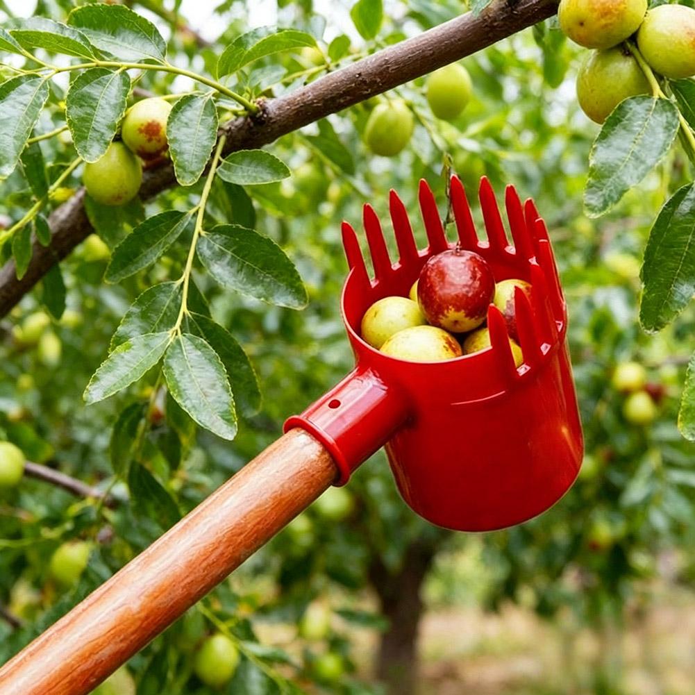 1pc Small Fruits Picker Portab - đánh giá và giá Agriculture Tomato Farming