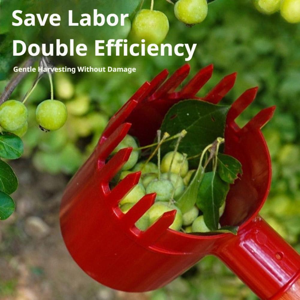 1pc Small Fruits Picker Portab - đánh giá và giá Agriculture Tomato Farming