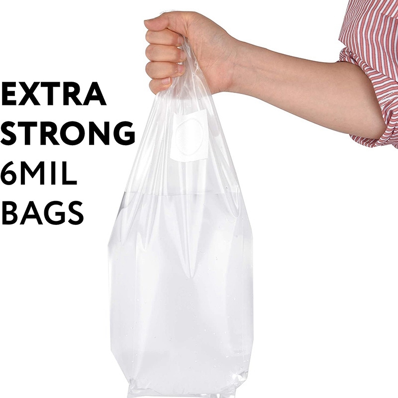 100Pcs Mushroom Growing Bag Sp - đánh giá và giá Mushroom Spawn Bag