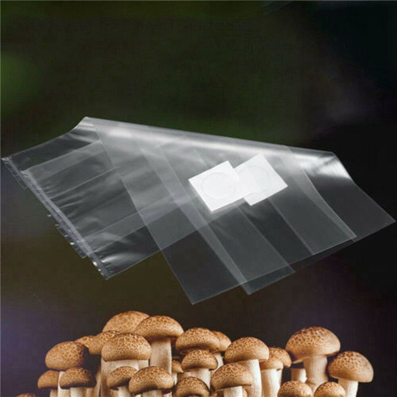 AT44-100Pcs PVC Mushroom Spawn - đánh giá và giá Mushroom Spawn Bag