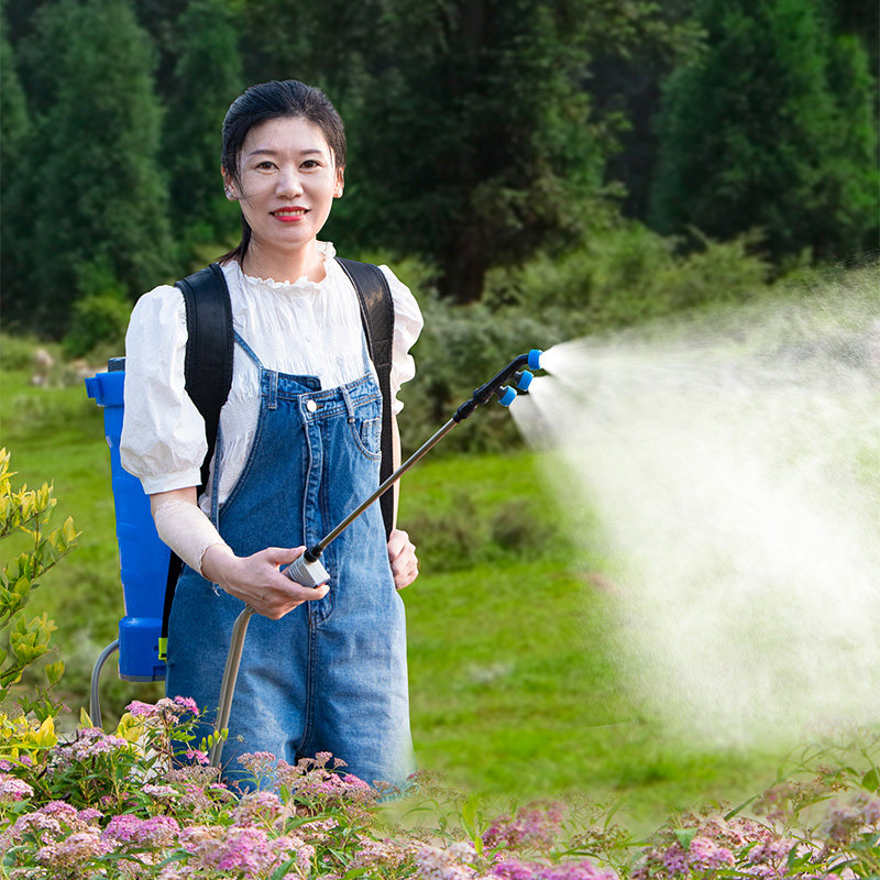 Disinfection Sprayer with Back - đánh giá và giá Crop Sprayer Backpack