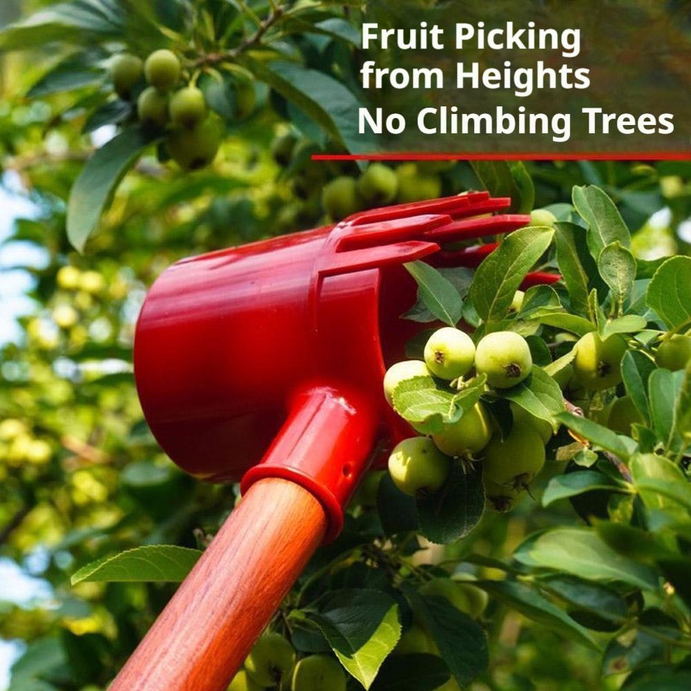 Fruits Picker Portable Harvest - đánh giá và giá Farming Agriculture Tools
