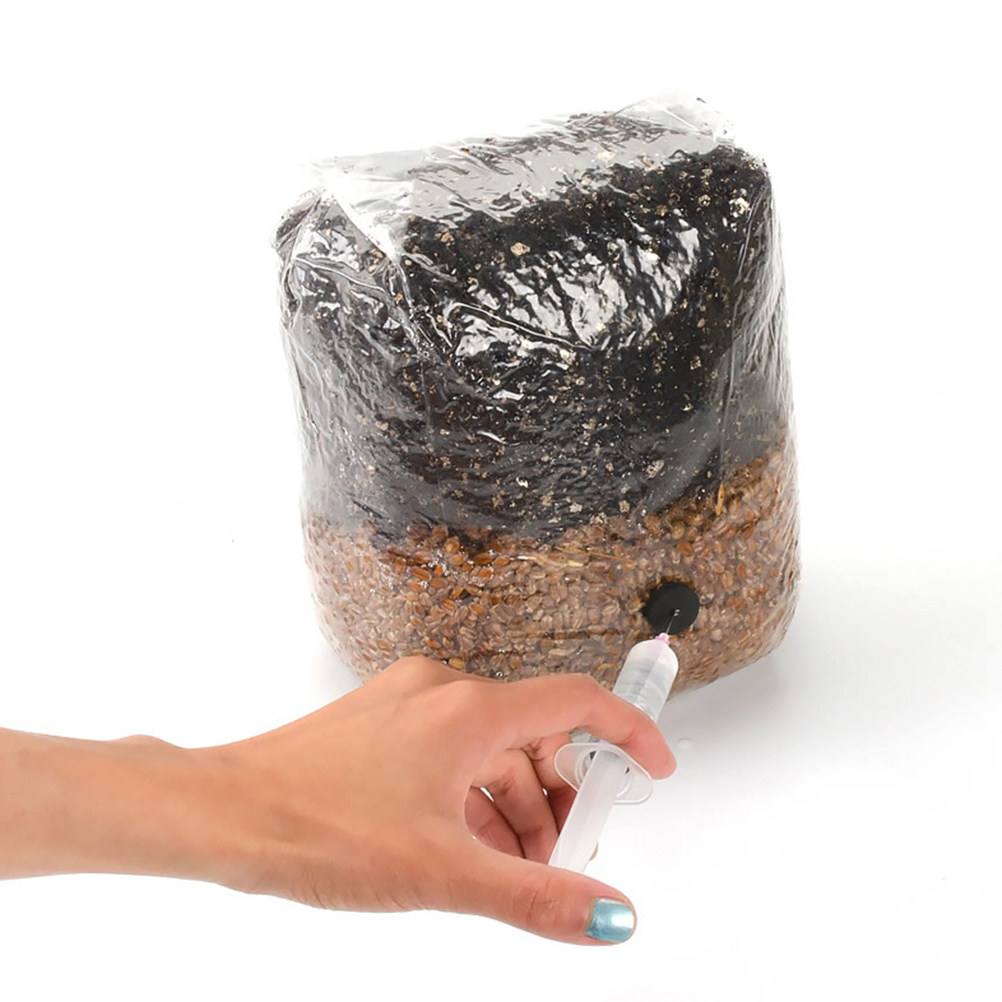 20Pcs Mushroom Growing Bags Cl - đánh giá và giá Mushroom Spawn Bag