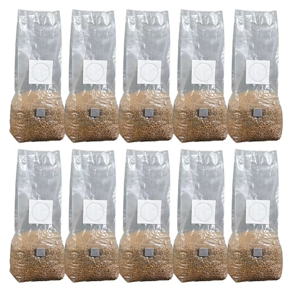 50pcs PP Mushroom Planting Bag - đánh giá và giá Mushroom Spawn Bag