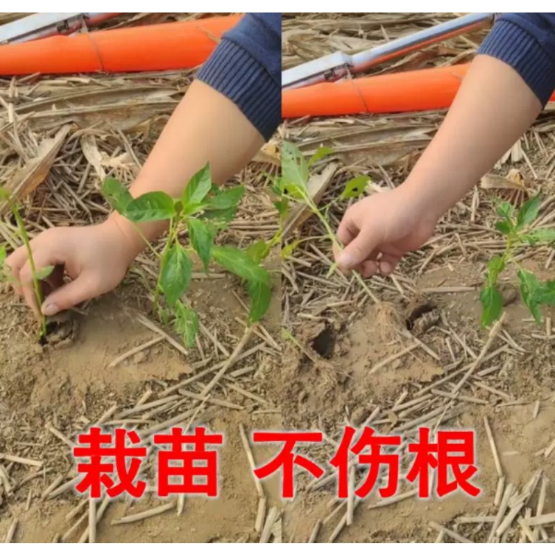 Agricultural Seedling Transpla - đánh giá và giá Farming Agriculture Tools