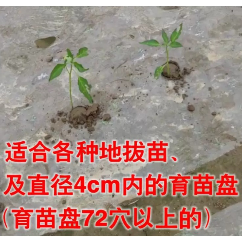 Agricultural Seedling Transpla - đánh giá và giá Farming Agriculture Tools