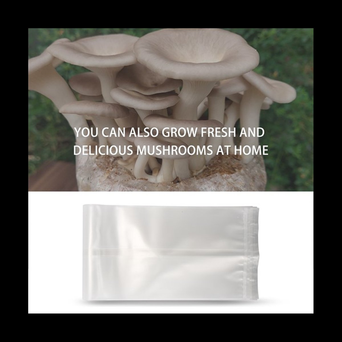 A78I 50 Count Mushroom Bags/Mu - đánh giá và giá Mushroom Spawn Bag