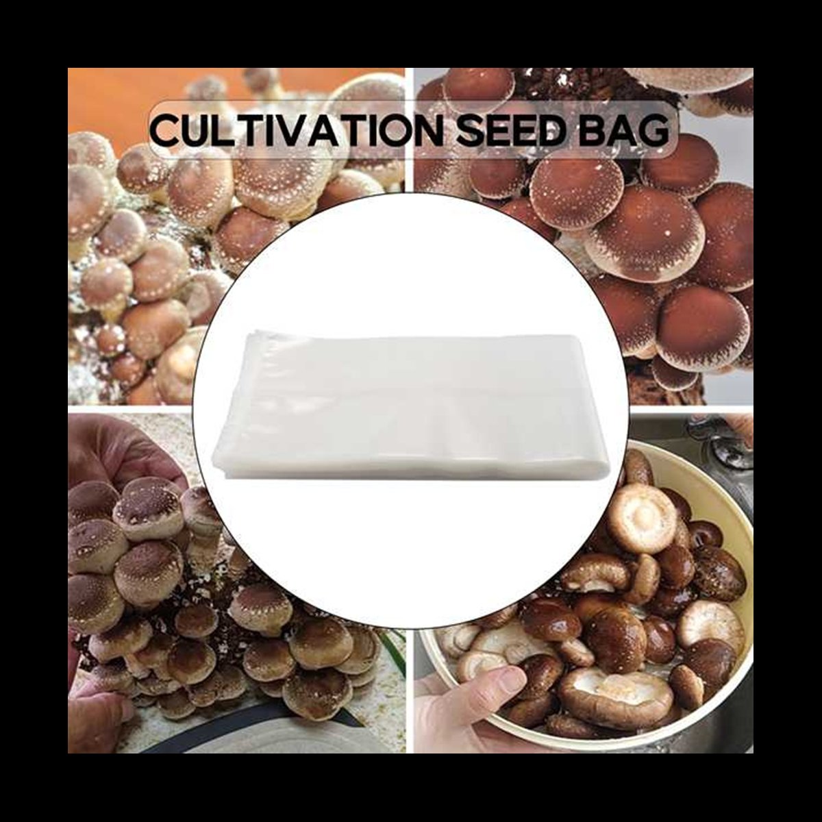 A78I 50 Count Mushroom Bags/Mu - đánh giá và giá Mushroom Spawn Bag